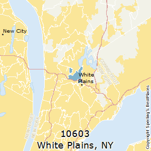 new york white plains zip code